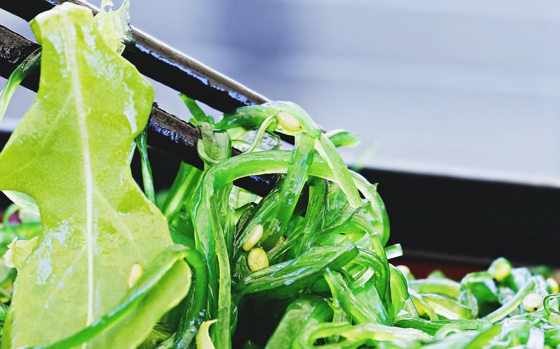 Seaweed